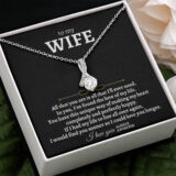 jewelry to my wife beautiful gift set ss25 36807354351857